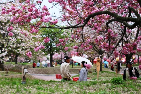 広島 造幣局の桜の通り抜け(花のまわり道)2012 画像10