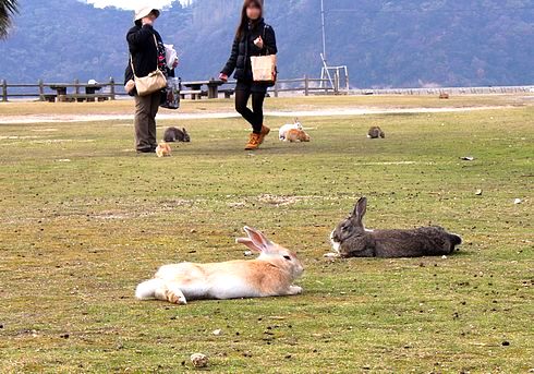 うさぎ島は「毒ガス島」だった、大久野島（広島県竹原市）の歴史