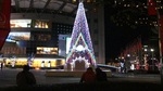 パセーラツリー、2011年も点灯！広島の街が次々とライトアップ