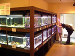 広島市水産振興センター、無料で学べる 魚の資料館へ行こう！