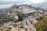 尾道 千光寺公園は 桜名所100選！風景と桜の両方を楽しめるお花見スポット