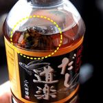 魚がまるごと入ったペットボトル 「だし道楽」、自動販売機で醤油を売る風景が広島市内にも