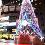広島 パセーラのクリスマスツリーが点灯、基町クレド一帯が華やかに