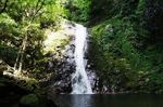 廿日市 万古渓、夏の森林浴・ハイキングに