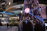 パセーラツリーなどクリスマス色の広島市、街の風景