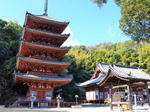 福山市 明王院、五重塔や折衷様式で国内最古の本堂など国宝建造物