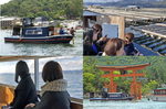 毛利丸、遊覧船で宮島のレアスポットも観光案内
