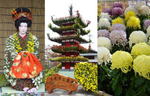 広島の菊花展まとめ、広島城など各地で菊の祭典