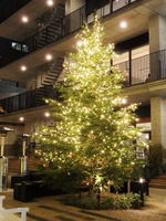 広島アンデルセンにクリスマスツリー点灯、マーケットも開催