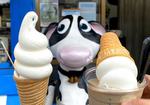 モーモーミルク、広島の白バラ牛乳専門店のクリーミーなソフトクリームで一息