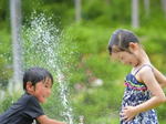 広島市植物公園 サマーフェア、水あそび楽しめる夏イベント開催