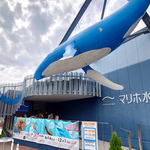 マリホ水族館、復活へ！新プロジェクトを予告、界隈ザワつき