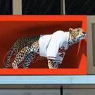 広島駅ビルにヒョウの「アカツキ」が登場、飛び降りてきそうな裸眼3D映像