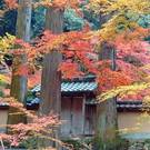 佛通寺も秋のグラデーション、紅葉を楽しむ人で賑わう