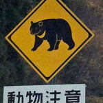 広島でも「クマが居るのは当然」人身被害を防ぐポイントは