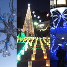 ここならではのイルミ・ライトアップ！5日間限定開催でキッチンカーも来る