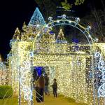 広島市のイルミネーション、2025年はどんな感じ？