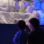 アルパークに復活！シン・マリホ水族館がオープン、ファミリー中心に癒される空間へ