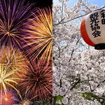 夜桜×花火！白竜湖花火inだいわ 開催、交通規制あり