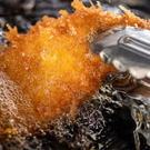 豊富なラインナップ！とんかつ味蔵、デパ地下レストランリニューアル