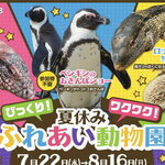 【福山天満屋】2026夏休みは屋内で動物ふれあい体験！ペンギンのおさんぽショーなど8月16日まで