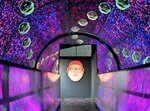 広島で【吉本コラボ×錯覚アート展】くっきーのブラックホール・チョコプラのトリックアート等、写真もOK