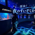 専用ライト片手に夜の水族館を探検！「シン・マリホ水族館」で初の夜イベント9月23日まで