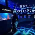 専用ライト片手に夜の水族館を探検！「シン・マリホ水族館」で初の夜イベント9月23日まで