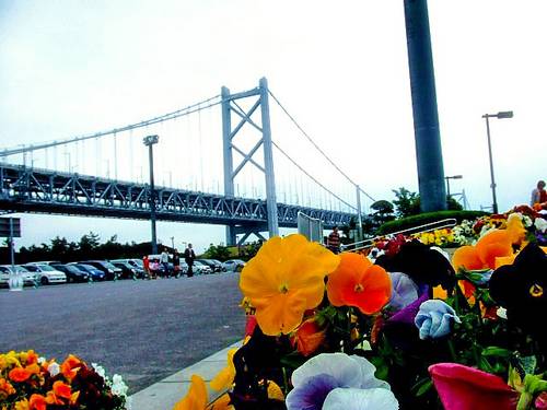 瀬戸大橋は週末、通行料金 1000円で渡れるのか？