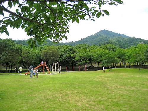 宮島SA下り、緑いっぱいの公園