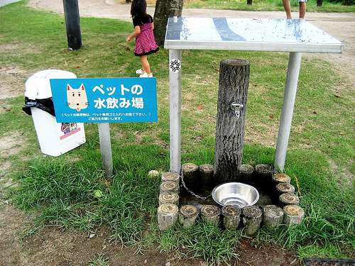 宮島SA下りには犬の水飲み場も