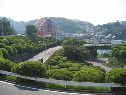 音戸大橋の螺旋道路のまわりにはツツジが沢山