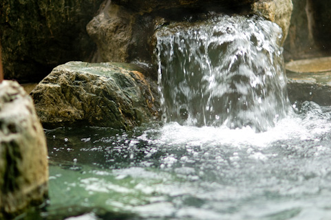 温泉舎（ゆのや） 湯田温泉の泉源を見学できるスポットが誕生！山口