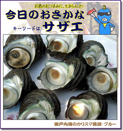 サザエ(栄螺) 調理法・レシピ！栄養も満点な高級魚介【瀬戸内の魚】
