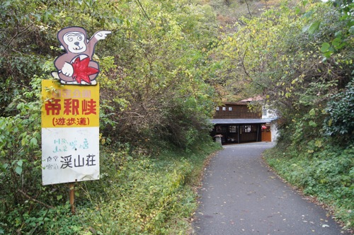 広島県 紅葉の名所 帝釈峡の画像6