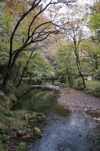 広島県 紅葉の名所 帝釈峡の画像11