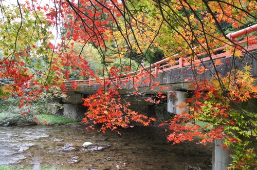 広島県 紅葉の名所 帝釈峡の画像5