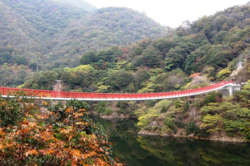 広島県 世羅の夢吊橋