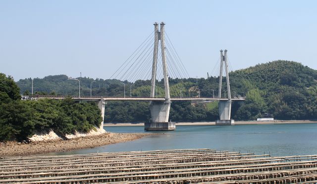 大芝大橋と牡蠣筏の風景