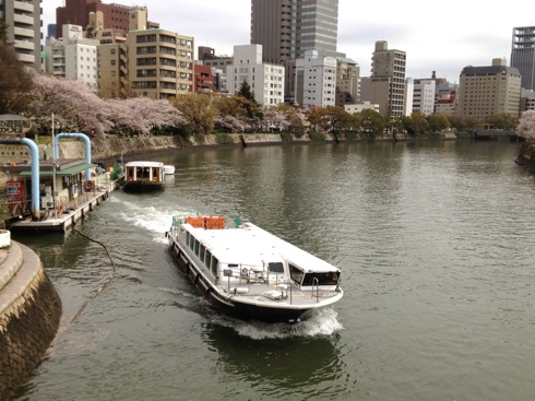 広島平和公園 桜の画像10