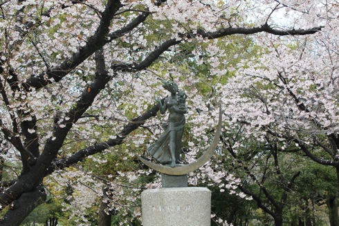 広島平和公園 桜の画像3