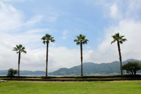 狩留賀海浜公園(ロマンチックビーチかるが) 画像5