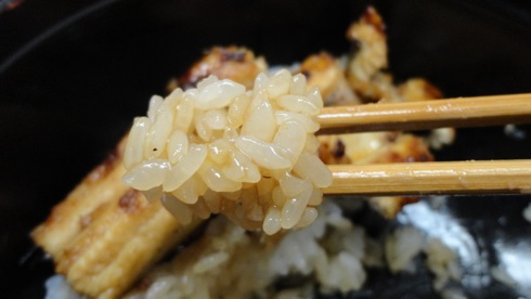 あなごめし 和田のお米が美味しい