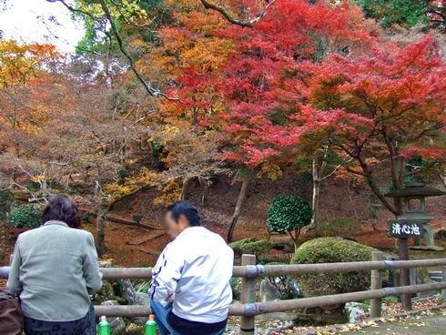 三次市 尾関山公園 池でお茶する夫婦