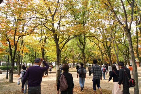 広島フードフェスティバル 会場の中央公園