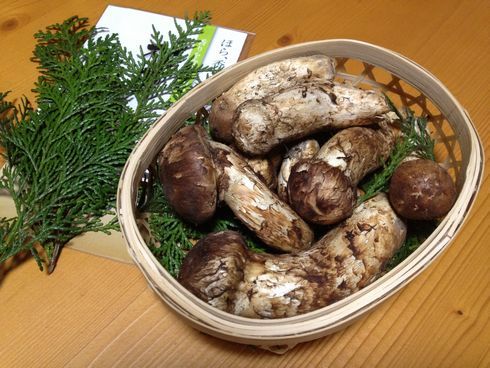 まつたけ村、広島県世羅町に全国の松茸が集結！国産の取り扱いは日本一