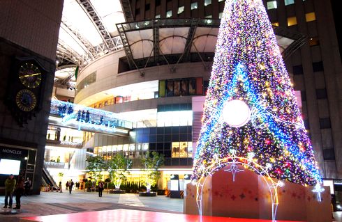 広島 パセーラのクリスマスツリーが点灯、基町クレド一帯が華やかに