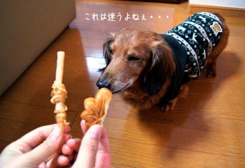 犬用もみじ饅頭 vs ササミ巻き巻き小型犬用ガム