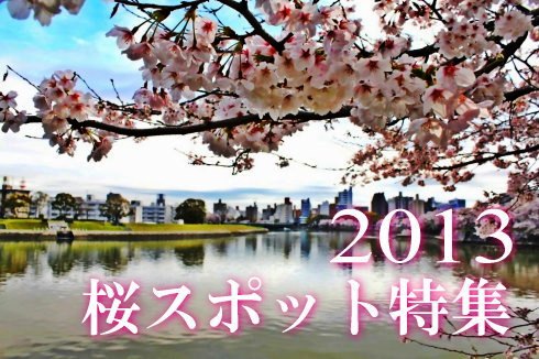 広島の 桜スポット(桜まつり)2013 見ごろ時期まとめ