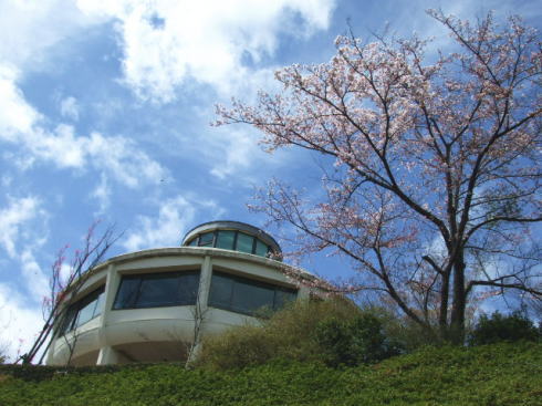 広島市植物公園 展望台